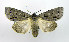  ( - DH002125)  @14 [ ] CreativeCommons - Attribution (2010) Unspecified Centre for Biodiversity Genomics