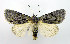  ( - DH002135)  @14 [ ] CreativeCommons - Attribution (2010) Unspecified Centre for Biodiversity Genomics