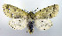  ( - DH002167)  @14 [ ] CreativeCommons - Attribution (2010) Unspecified Centre for Biodiversity Genomics