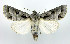  ( - DH002266)  @14 [ ] CreativeCommons - Attribution (2010) Unspecified Centre for Biodiversity Genomics