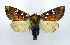  ( - DH002389)  @14 [ ] CreativeCommons - Attribution (2010) Unspecified Centre for Biodiversity Genomics