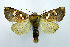 ( - DH002391)  @14 [ ] CreativeCommons - Attribution (2010) Unspecified Centre for Biodiversity Genomics