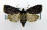  ( - DH004970)  @14 [ ] CreativeCommons - Attribution (2010) Unspecified Centre for Biodiversity Genomics