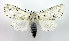  ( - DH005004)  @14 [ ] CreativeCommons - Attribution (2010) Unspecified Centre for Biodiversity Genomics