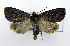  ( - DH005149)  @14 [ ] CreativeCommons - Attribution (2010) Unspecified Centre for Biodiversity Genomics