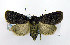  ( - DH005177)  @14 [ ] CreativeCommons - Attribution (2010) Unspecified Centre for Biodiversity Genomics
