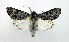  ( - DH007121)  @14 [ ] CreativeCommons - Attribution (2010) Unspecified Centre for Biodiversity Genomics