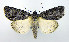  ( - DH007128)  @14 [ ] CreativeCommons - Attribution (2010) Unspecified Centre for Biodiversity Genomics