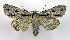  ( - DH008837)  @15 [ ] CreativeCommons - Attribution (2010) Unspecified Centre for Biodiversity Genomics