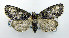 ( - DH008870)  @14 [ ] CreativeCommons - Attribution (2010) Unspecified Centre for Biodiversity Genomics