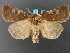  ( - DH009677)  @14 [ ] CreativeCommons - Attribution (2010) Unspecified Centre for Biodiversity Genomics