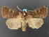  ( - DH009331)  @14 [ ] CreativeCommons - Attribution (2010) Unspecified Centre for Biodiversity Genomics