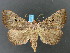  ( - DH007831)  @14 [ ] CreativeCommons - Attribution (2010) Unspecified Centre for Biodiversity Genomics