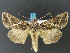  ( - DH013357)  @14 [ ] CreativeCommons - Attribution (2010) Unspecified Centre for Biodiversity Genomics