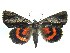  ( - DH010670)  @14 [ ] CreativeCommons - Attribution (2010) Unspecified Centre for Biodiversity Genomics