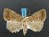  ( - DH012246)  @14 [ ] Unspecified (default): All Rights Reserved  Unspecified Unspecified