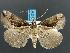  ( - DH012448)  @14 [ ] Unspecified (default): All Rights Reserved  Unspecified Unspecified