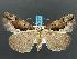  ( - DH012450)  @14 [ ] Unspecified (default): All Rights Reserved  Unspecified Unspecified