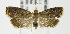  ( - MDH007408)  @13 [ ] Unspecified (default): All Rights Reserved  Unspecified Unspecified