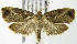  ( - MDH004958)  @14 [ ] Unspecified (default): All Rights Reserved  Unspecified Unspecified