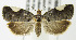  ( - MDH005558)  @14 [ ] Unspecified (default): All Rights Reserved  Unspecified Unspecified