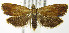 ( - MDH004501)  @15 [ ] Unspecified (default): All Rights Reserved  Unspecified Unspecified