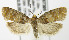  ( - MDH007309)  @14 [ ] Unspecified (default): All Rights Reserved  Unspecified Unspecified