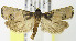  ( - MDH004502)  @12 [ ] Unspecified (default): All Rights Reserved  Unspecified Unspecified