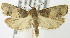  ( - MDH004212)  @12 [ ] Unspecified (default): All Rights Reserved  Unspecified Unspecified