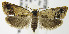  ( - MDH007725)  @11 [ ] Unspecified (default): All Rights Reserved  Unspecified Unspecified