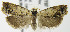  ( - MDH007737)  @13 [ ] Unspecified (default): All Rights Reserved  Unspecified Unspecified