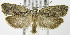  ( - MDH007591)  @14 [ ] Unspecified (default): All Rights Reserved  Unspecified Unspecified