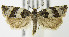  ( - MDH004498)  @13 [ ] Unspecified (default): All Rights Reserved  Unspecified Unspecified
