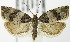  ( - MDH007246)  @14 [ ] Unspecified (default): All Rights Reserved  Unspecified Unspecified