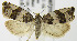  ( - MDH007219)  @14 [ ] Unspecified (default): All Rights Reserved  Unspecified Unspecified