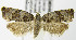  ( - MDH006707)  @13 [ ] Unspecified (default): All Rights Reserved  Unspecified Unspecified