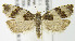  ( - MDH004544)  @13 [ ] Unspecified (default): All Rights Reserved  Unspecified Unspecified