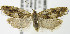  ( - MDH007284)  @12 [ ] Unspecified (default): All Rights Reserved  Unspecified Unspecified