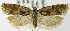  ( - MDH003416)  @13 [ ] Unspecified (default): All Rights Reserved  Unspecified Unspecified
