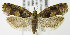  ( - MDH006755)  @13 [ ] Unspecified (default): All Rights Reserved  Unspecified Unspecified