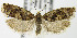  ( - MDH007272)  @13 [ ] Unspecified (default): All Rights Reserved  Unspecified Unspecified