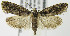  ( - MDH006740)  @14 [ ] Unspecified (default): All Rights Reserved  Unspecified Unspecified