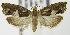  ( - MDH006434)  @13 [ ] Unspecified (default): All Rights Reserved  Unspecified Unspecified