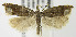  ( - MDH004607)  @13 [ ] Unspecified (default): All Rights Reserved  Unspecified Unspecified