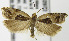  ( - MDH002972)  @14 [ ] Unspecified (default): All Rights Reserved  Unspecified Unspecified