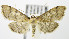  ( - MDH006250)  @14 [ ] Unspecified (default): All Rights Reserved  Unspecified Unspecified