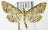  ( - MDH006220)  @14 [ ] Unspecified (default): All Rights Reserved  Unspecified Unspecified