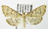  ( - MDH006247)  @14 [ ] Unspecified (default): All Rights Reserved  Unspecified Unspecified