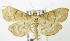  ( - MDH004788)  @14 [ ] Unspecified (default): All Rights Reserved  Unspecified Unspecified
