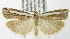  ( - MDH004405)  @13 [ ] Unspecified (default): All Rights Reserved  Unspecified Unspecified